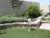 A child playing mini golf on an artificial turf course.